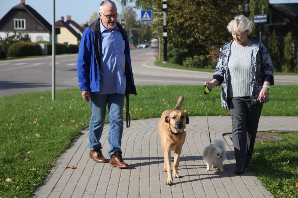Valentīna un Pēteris katru dienu dodas pastaigās ar Džoniju un Sniedziņu. Džonijs svešiniekus neaiztiek, pat nereaģē un saimnieku klausa uz vārda. Savukārt mazo Sniedziņu ļoti garas pastaigas reizēm nedaudz nogurdina. Tad saimniece Valentīna gādīgi viņu paņem klēpī.  
Autors: Inita Savicka