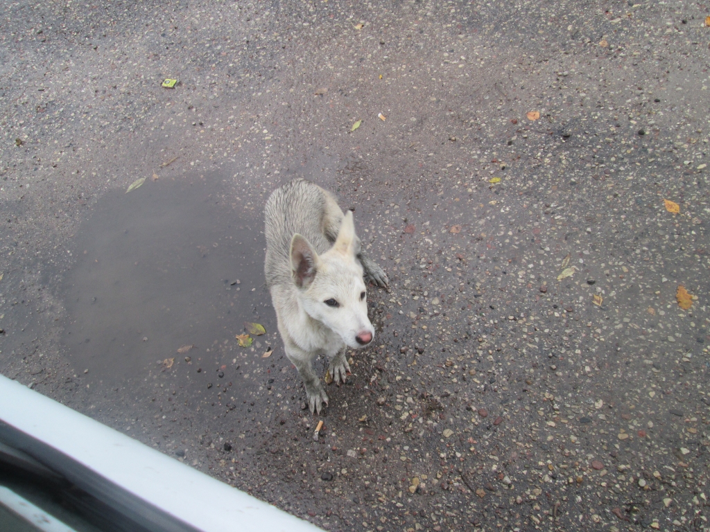 Autors: no personiskā arhīva