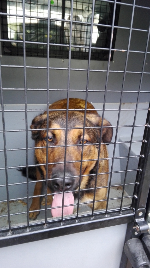 Autors: no personiskā arhīva