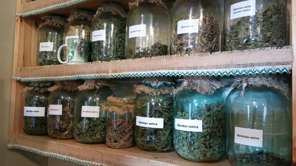 Lolitas Dugas kolekcijā ir gandrīz 40 šķirņu mētras.
Autors: Pārsla Konrāde