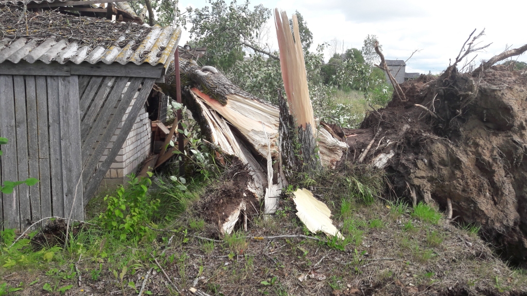 12.augusta vētra vislielākos zaudējumus nodarīja Jaungulbenē.
Autors: no “Dzirksteles” arhīva