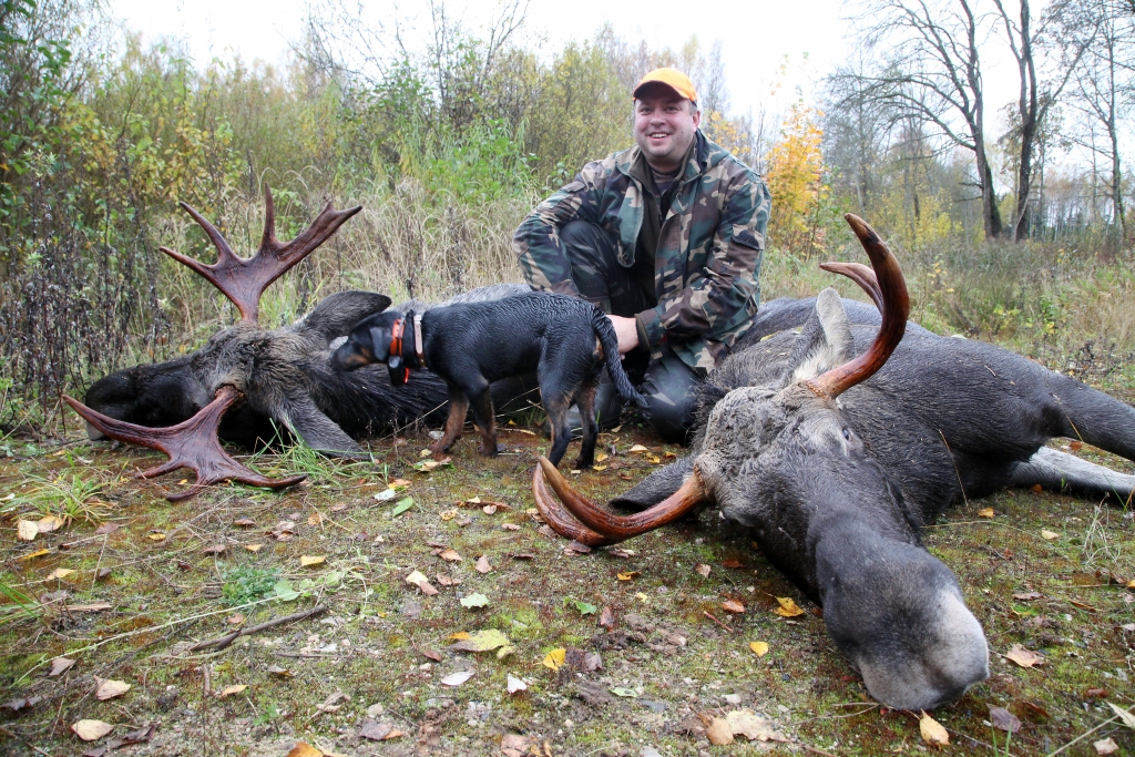 Divi šāvieni - divi buļļi. Tā gadās reti. Par to prieks visam kolektīvam, it sevišķi pašam Gintam Ilvam. 	
Autors: Gatis Bogdanovs
