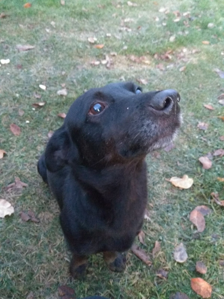 Autors: no personiskā arhīva