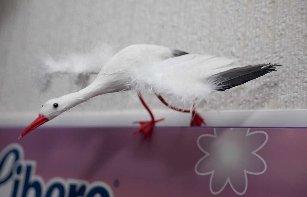 Autors: Ilustratīvs foto