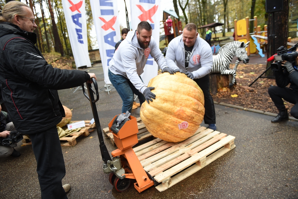 Autors: Publicitātes foto