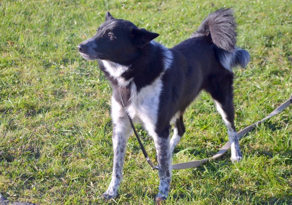 Autors: no personiskā arhīva