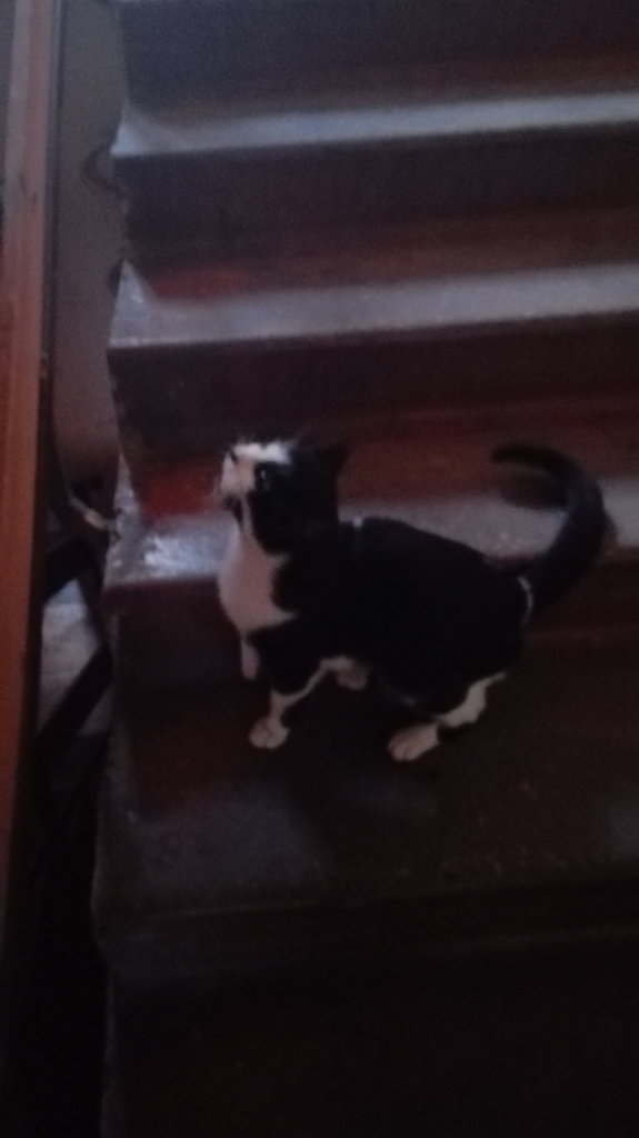 Autors: no personiskā arhīva