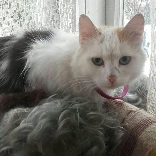 Autors: no personiskā arhīva