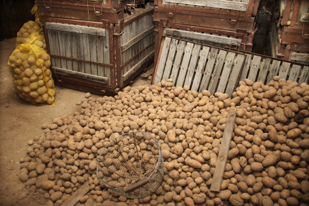 Autors: no “Dzirksteles” arhīva