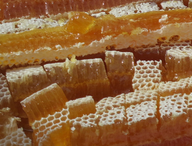 Autors: ilustratīvs