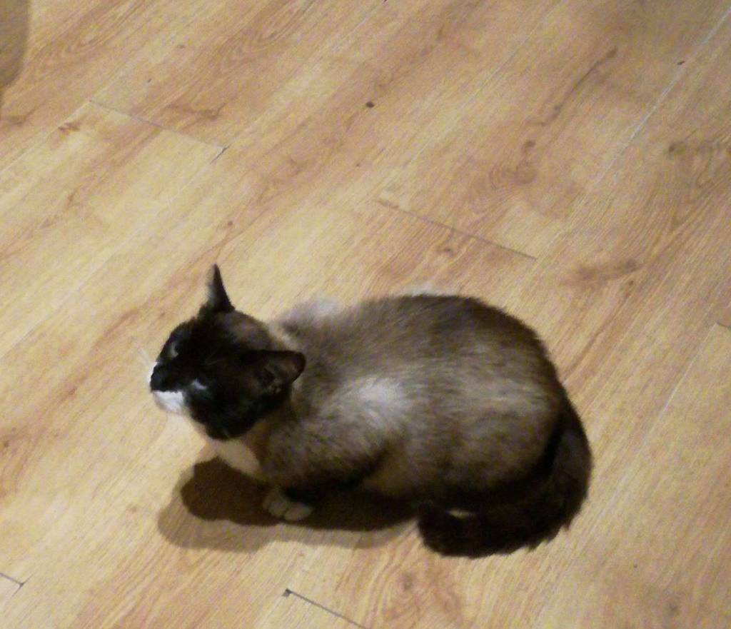 Autors: no personiskā arhīva