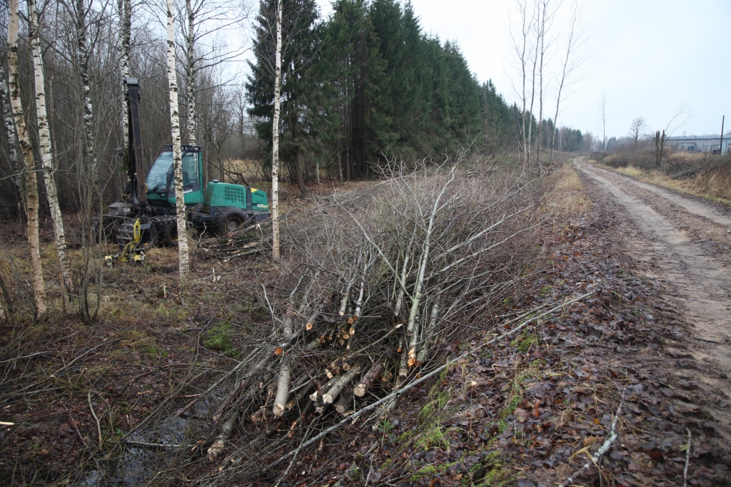 Gulbenes-Ieriķu bijušā dzelzceļa uzbērums pieder valstij, periodiski akciju sabiedrība “Latvijas dzelzceļš” organizē piegulošās joslas sakopšanu un apauguma ciršanu. Šobrīd tas notiek atkal. Tiek solīts, ka nocirstie koki un krūmi tiks aizvākti. Sola arī turpmāk nezāģēt ābeles uzbēruma malās.
Autors: Gatis Bogdanovs