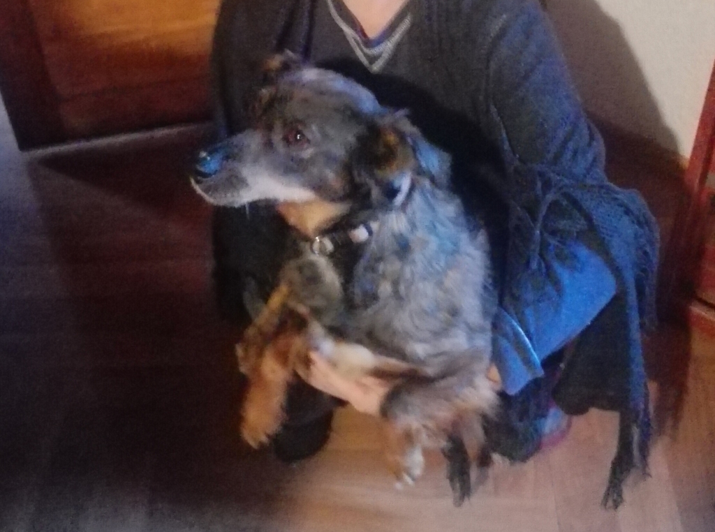 Autors: no personiskā arhīva