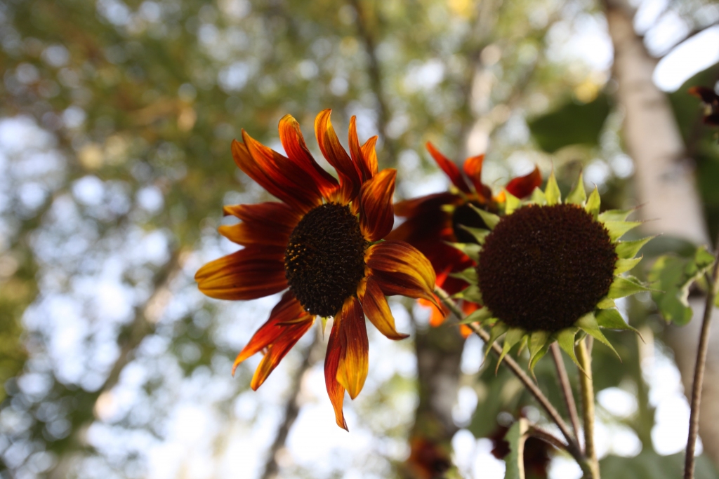 Autors: Ilustratīvs foto: Gatis Bogdanovs