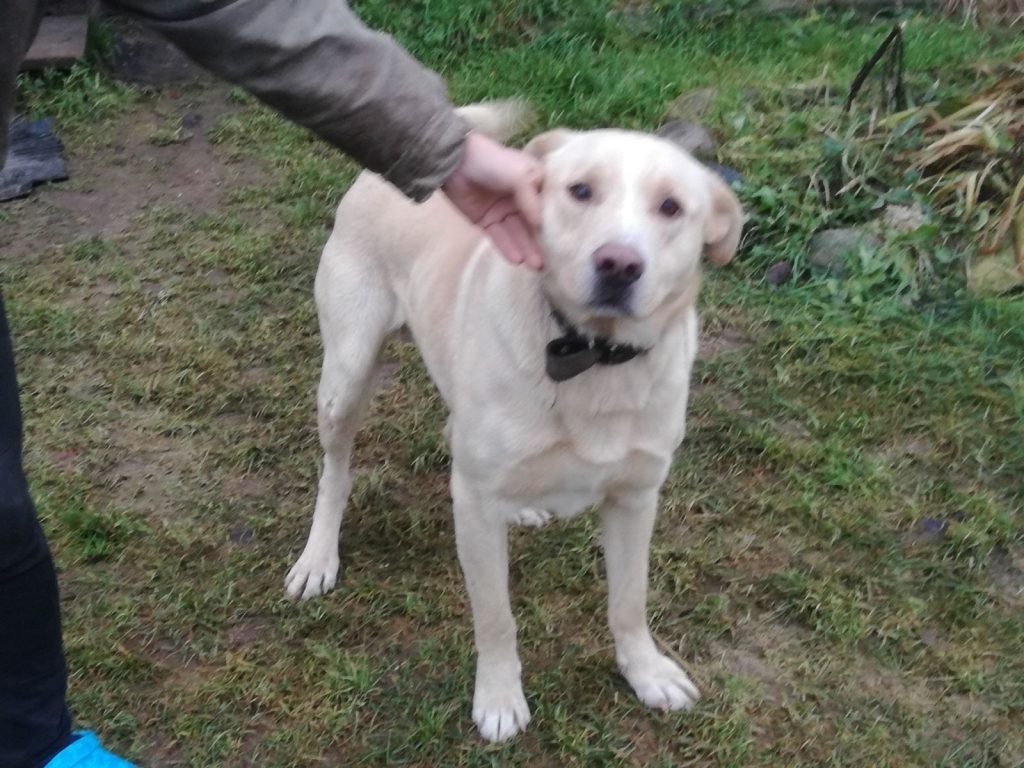 Autors: no personiskā arhīva