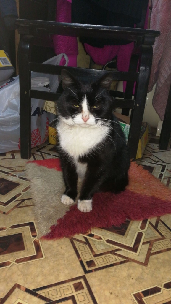 Autors: no personiskā arhīva