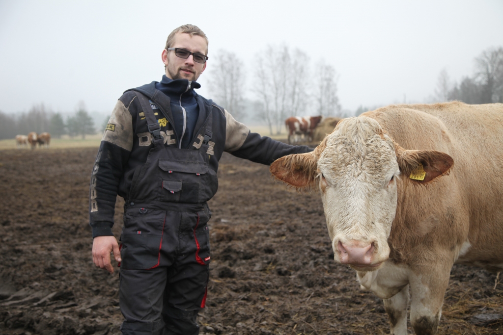 Dairis Rutkis novērojis, ka katram lopam ir savs raksturs. Viņš arī devis lopiem vārdus, piemēram, Bosene, Oga, Zibens, Niķis.
Autors: Gatis Bogdanovs