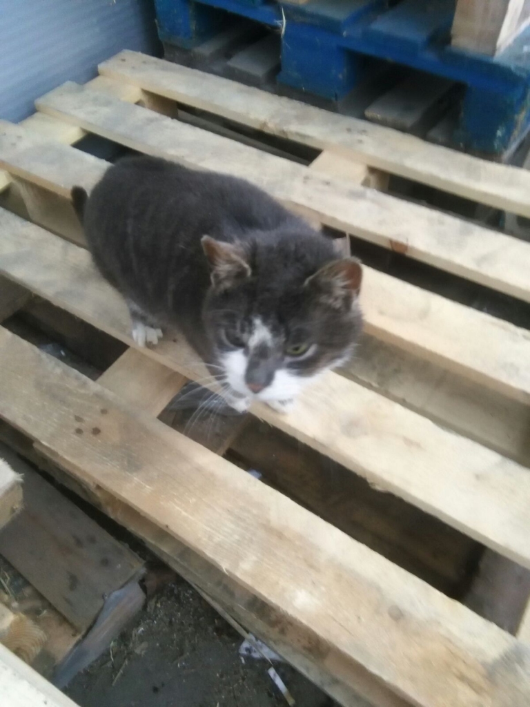 Autors: no personiskā arhīva