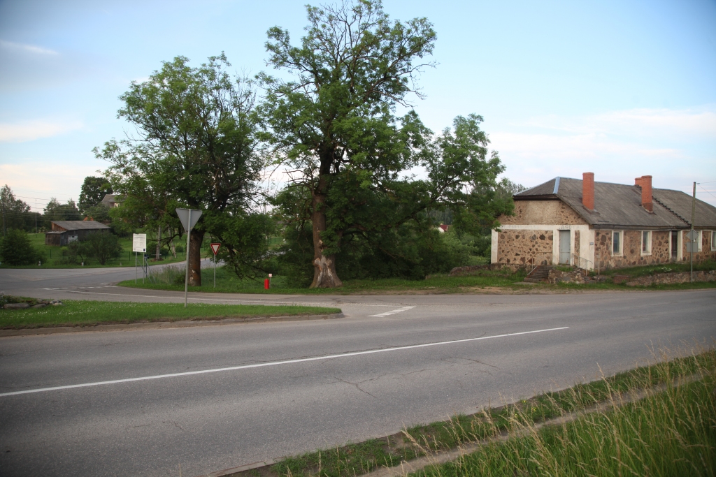 Autors: Gatis Bogdanovs