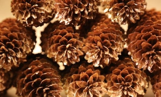 Autors: ilustratīvs