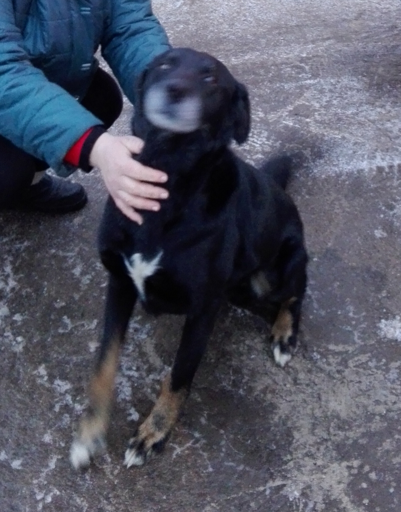 Autors: no personiskā arhīva