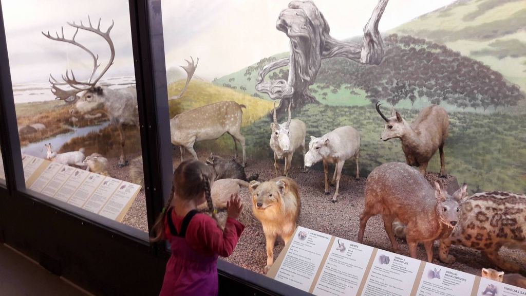 Latvijas zīdītāju ekspozīcijā var aplūkot gandrīz visas Latvijas zīdītājdzīvnieku sugas. Daudzas no tām ir Latvijas un Eiropas aizsargājamo sugu sarakstos. 
Autors: Pārsla Konrāde