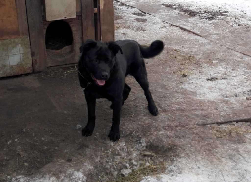 Autors: no personiskā arhīva