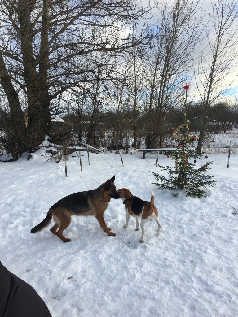 Autors: Diāna Odumiņa