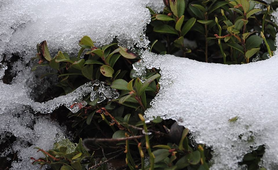 Autors: facebook.com