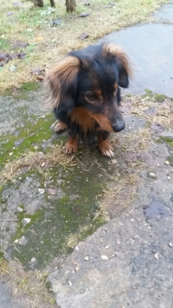 Autors: no privāta arhīva