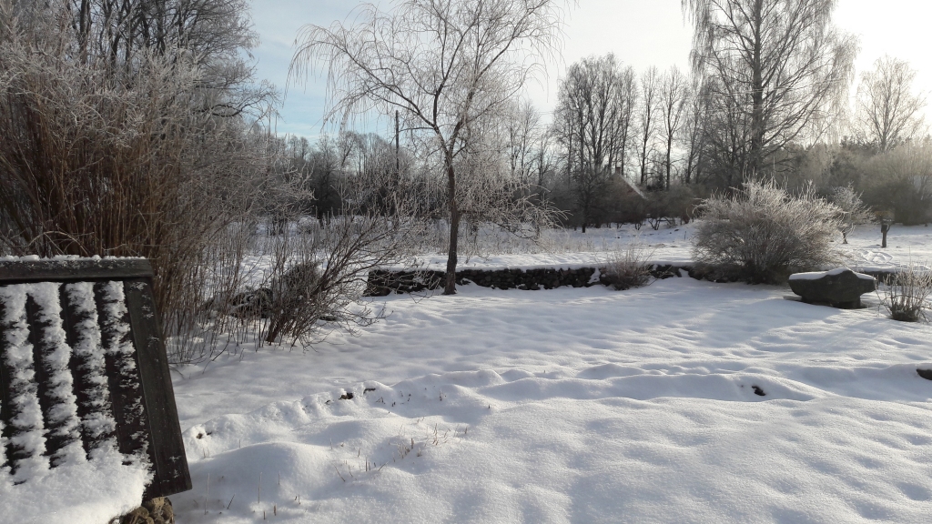 Autors: Ginta Alberte