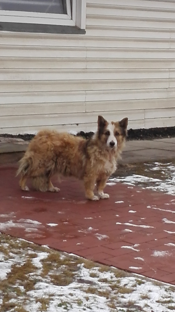 Autors: no privāta arhīva