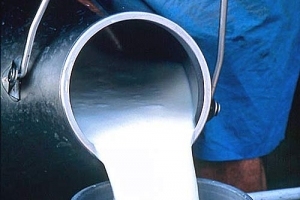 Autors: ilustratīvs