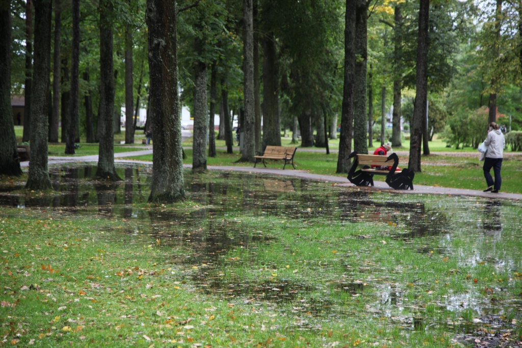 Autors: no Dzirksteles arhīva