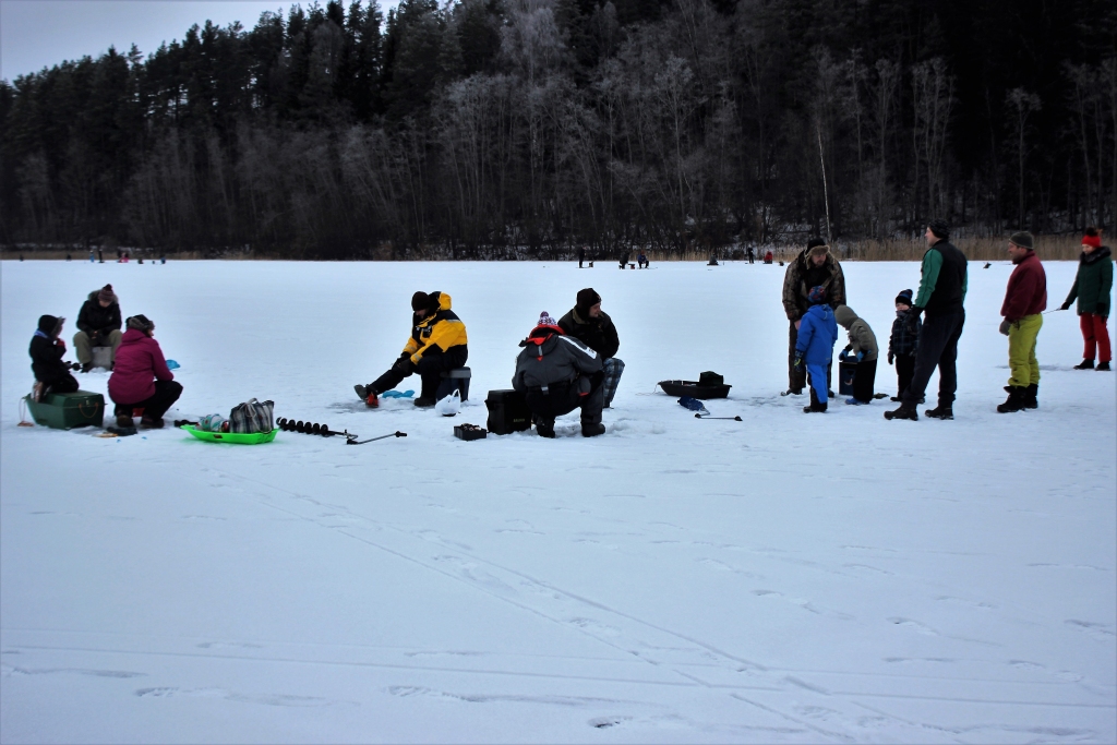Autors: Maija Bleiferte