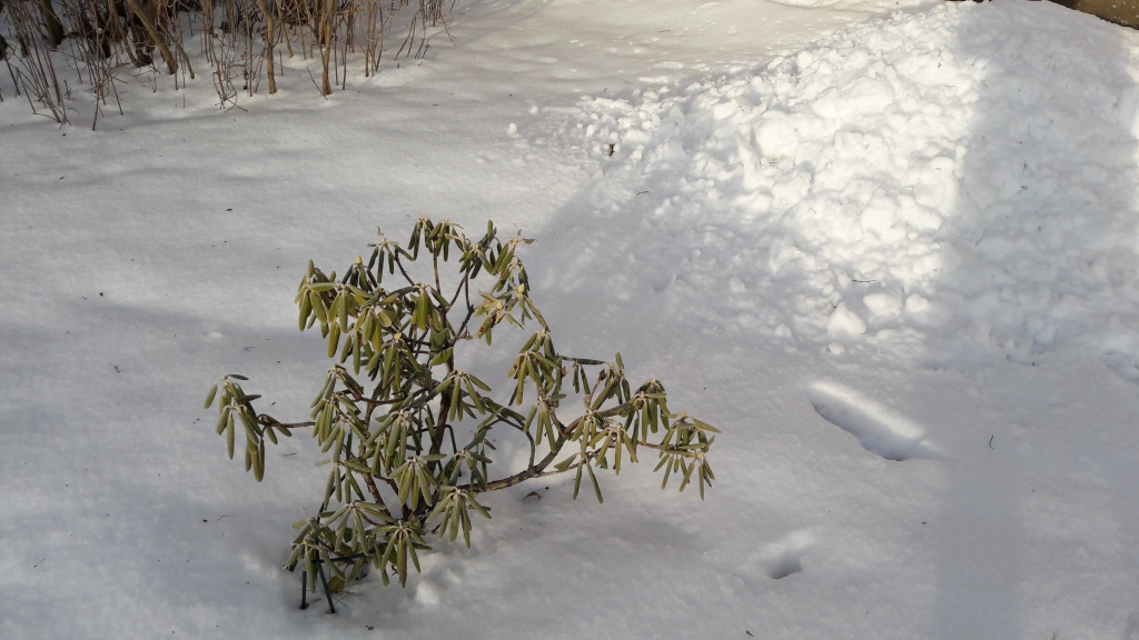 Autors: Ginta Alberte