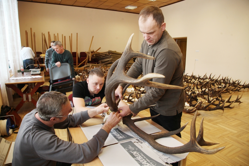 Trofeju vērtētāji savam darbam ķērās klāt no paša rīta un darbojās līdz vēlam vakaram.
Autors: Gatis Bogdanovs