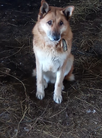 Autors: no personiskā arhīva