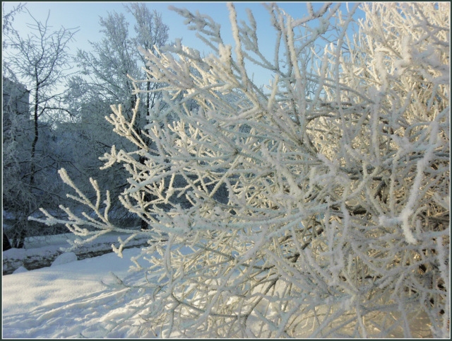 Autors: WordPress.com