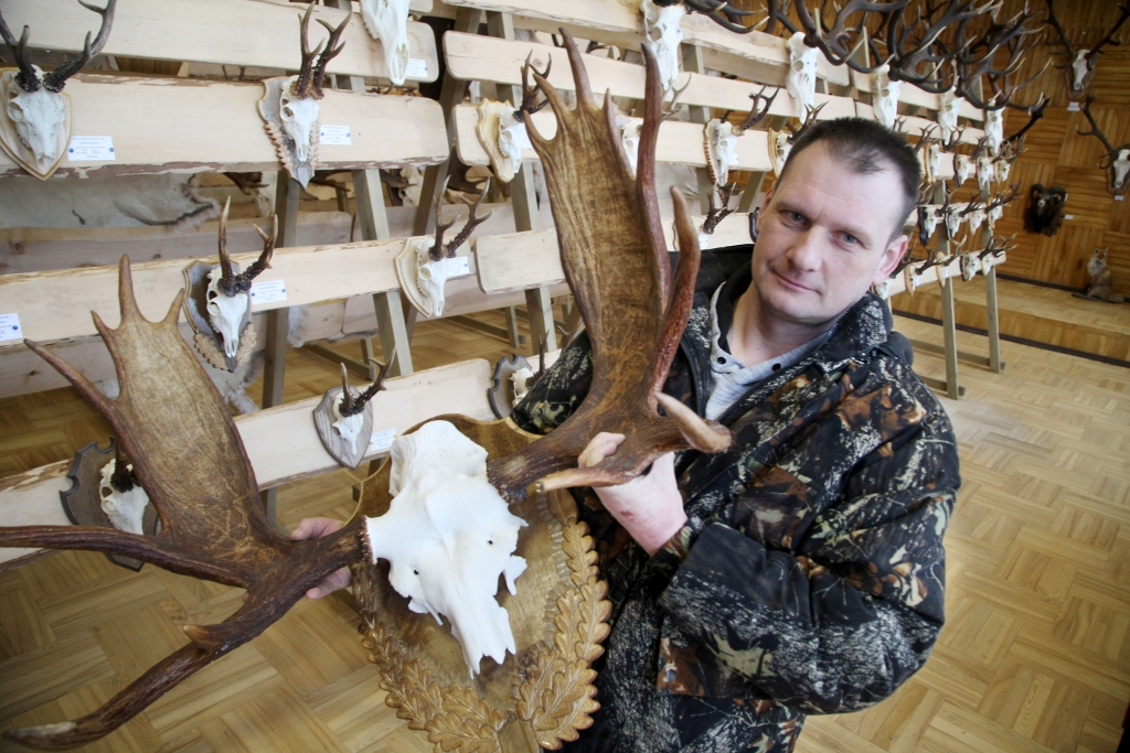 Aivars Balckars ar savu 2017.gadā nomedītā brieža trofeju ar kopējo žuburu skaitu 15 un iespaidīgo ragu garumu 100,3 un 109,2 centimetri. 
Autors: Gatis Bogdanovs