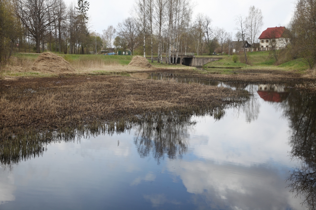 Autors: no “Dzirksteles” arhīva