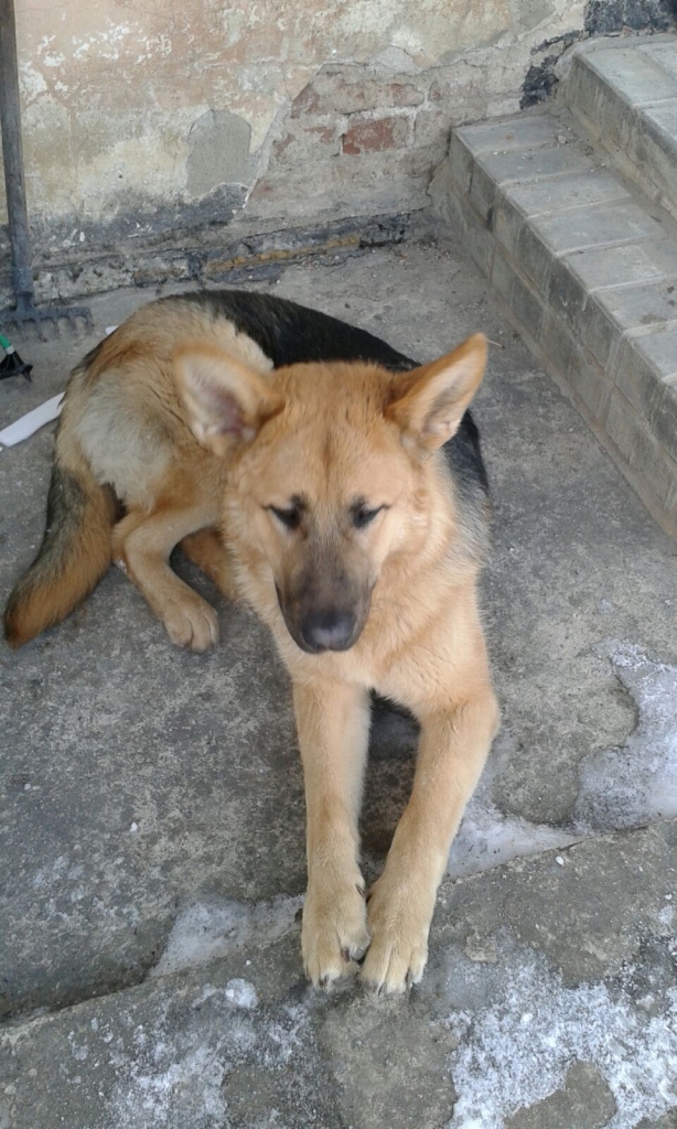 Autors: no personiskā arhīva