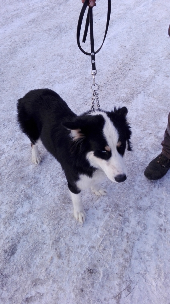 Autors: no personiskā arhīva