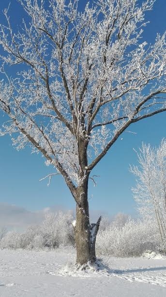 Autors: ilustratīvs foto