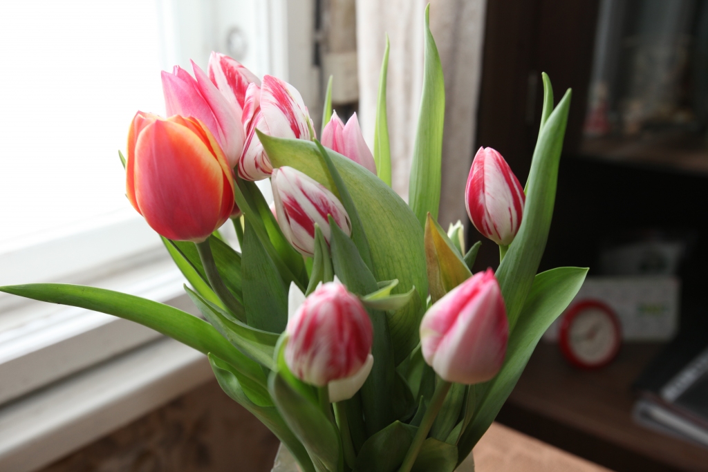 Autors: no “Dzirksteles” arhīva