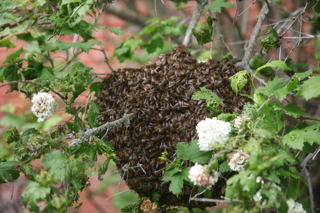 Autors: ilustratīvs foto