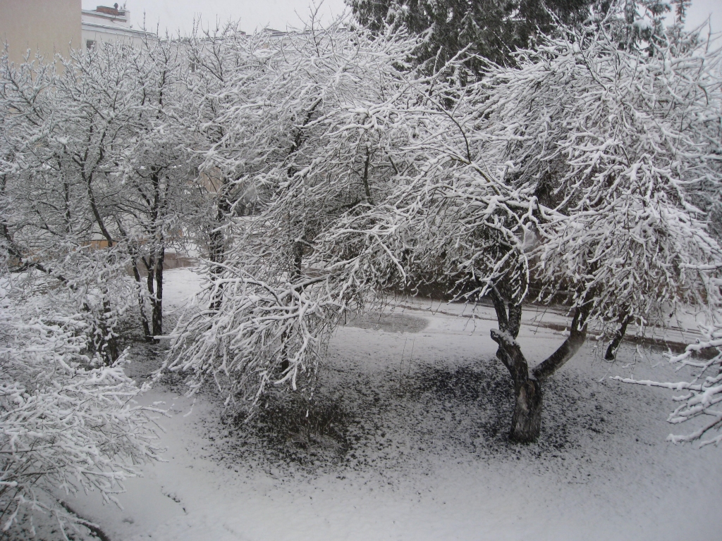 Autors: Tamāra Ulase