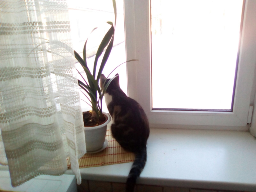 Autors: no personiskā arhīva