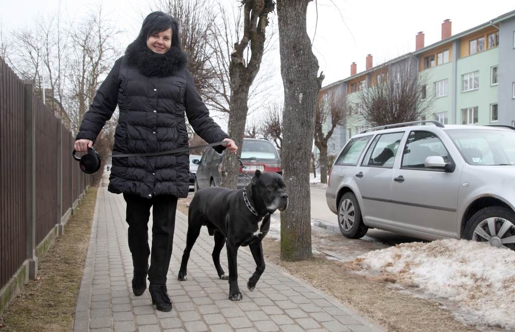 Gulbeniete Ilze Nogobode ir atbildīga suņa saimniece. Viņa izmanto veikalā nopirktos speciālos maisiņus. Tikai viņai nav skaidrs, kāpēc suņa ekskrementus nevar mest kopējās atkritumu urnās, ja rezultātā visi atkritumi nonāk vienuviet.
Autors: Gatis Bogdanovs
