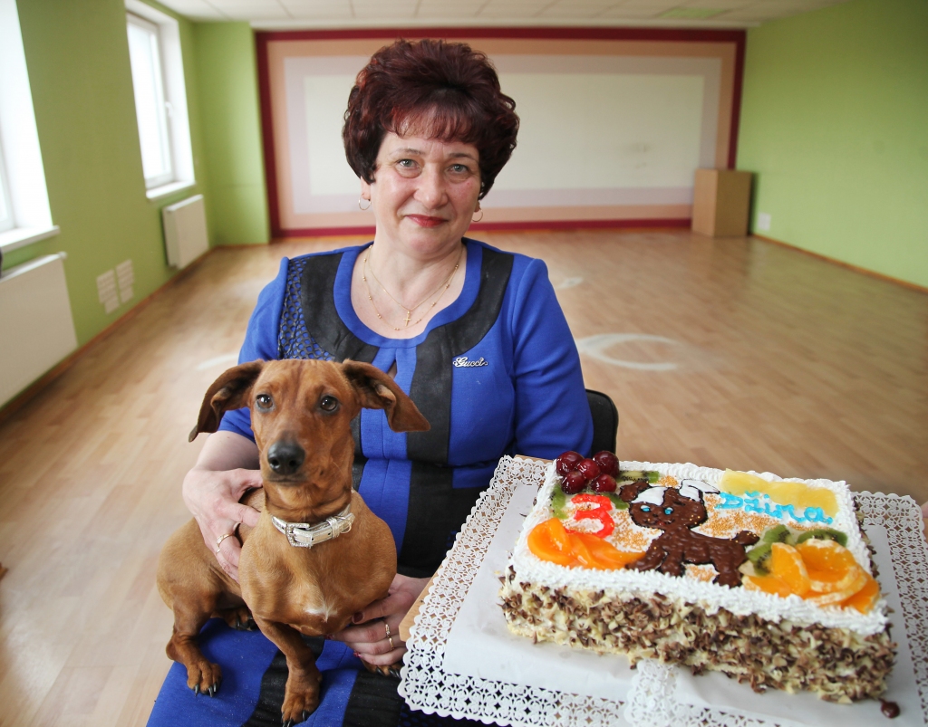 Takšu meitenei Džinai šogad palika trīs gadi. Viņas saimniece Svetlana Bite par godu šim notikuma pasūtījusi īpašu torti.
Autors: Gatis Bogdanovs